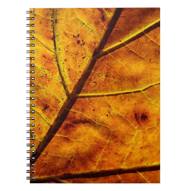 Leaf leaf veins fall texture notebook (Front)