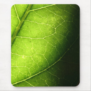 Leaf Mouse Pad