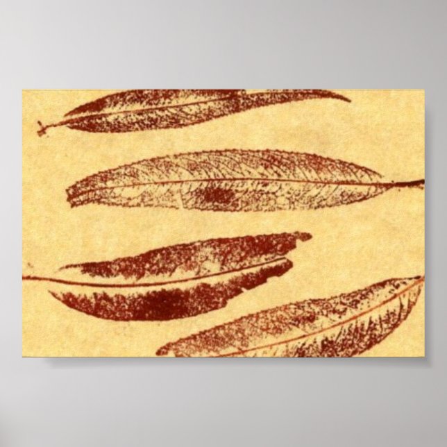 Leaf Nature Print Mini-Poster (Front)