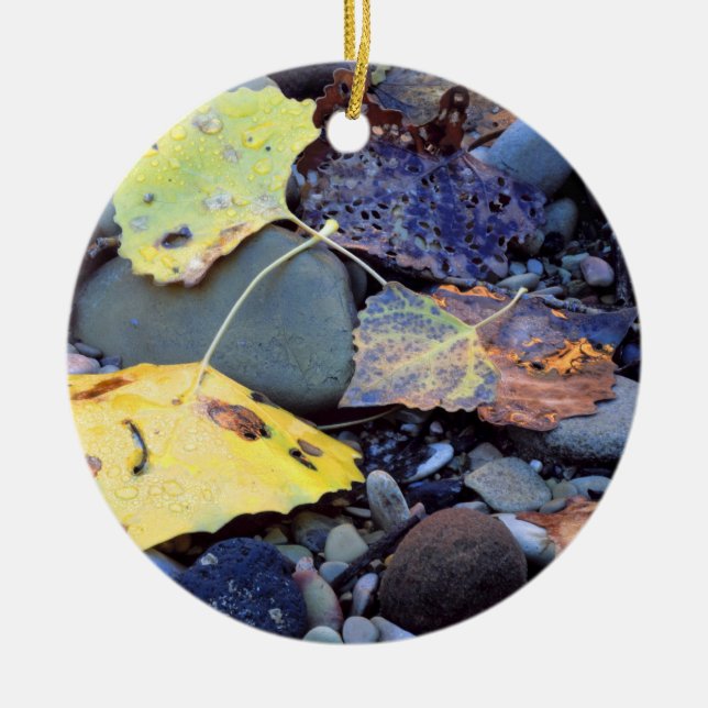 Leaf of Fremont cottonwood on flood plain Ceramic Ornament (Front)