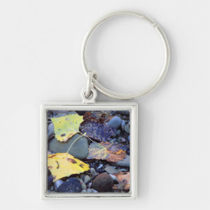 Leaf of Fremont cottonwood on flood plain Keychain