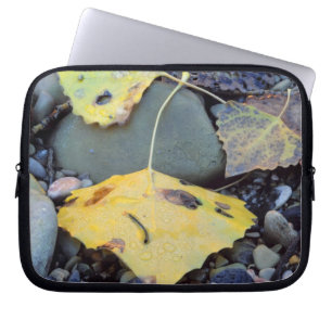Leaf of Fremont cottonwood on flood plain Laptop Sleeve