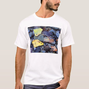 Leaf of Fremont cottonwood on flood plain T-Shirt