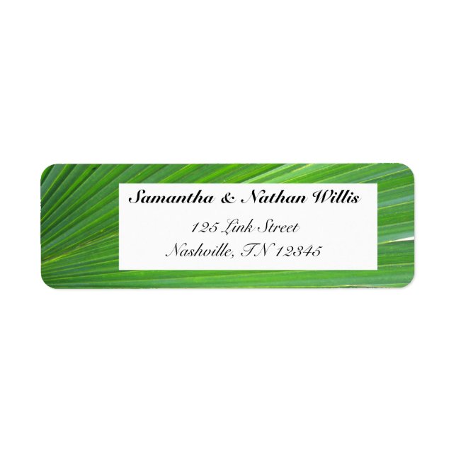 Leaf of Palm Tree (Front)