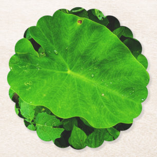 Leaf paper plate coaster