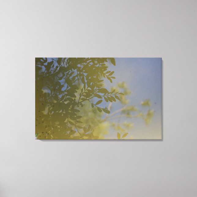 leaf reflection on water canvas print (Front)