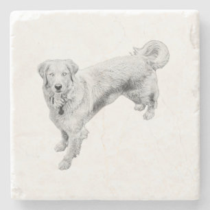 Leaf-Season Sentinel Stone Coaster