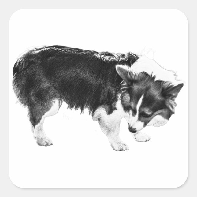 Leaf-Shadow Nosework Square Sticker (Front)