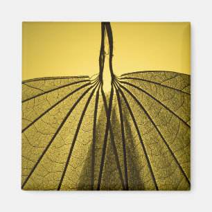 Leaf Skeleton Magnet