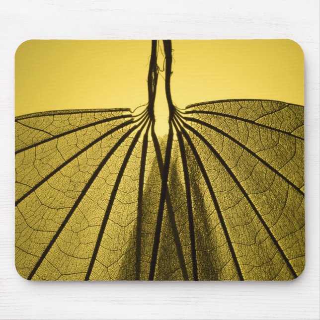 Leaf Skeleton Mouse Pad (Front)