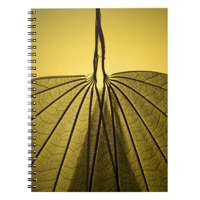 Leaf Skeleton Notebook (Front)