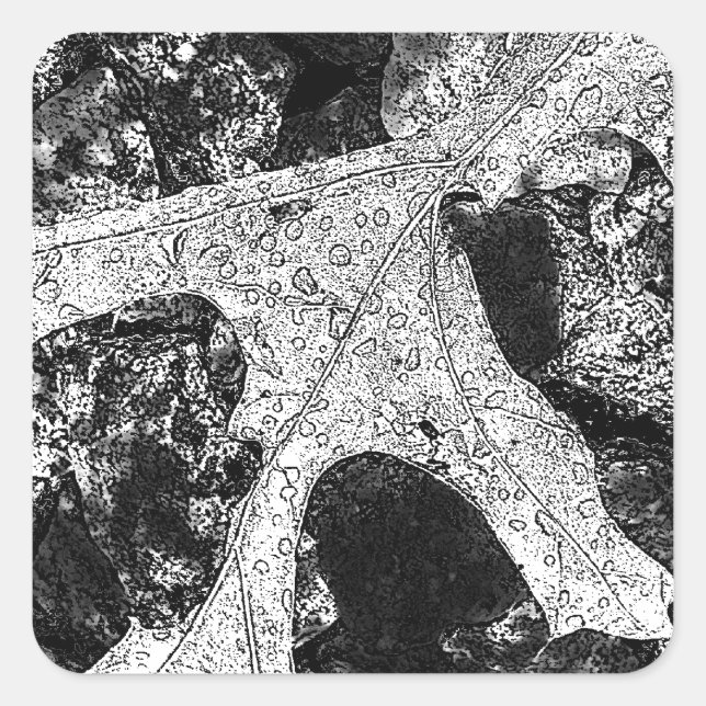 Leaf Sketch Drawing Square Sticker (Front)