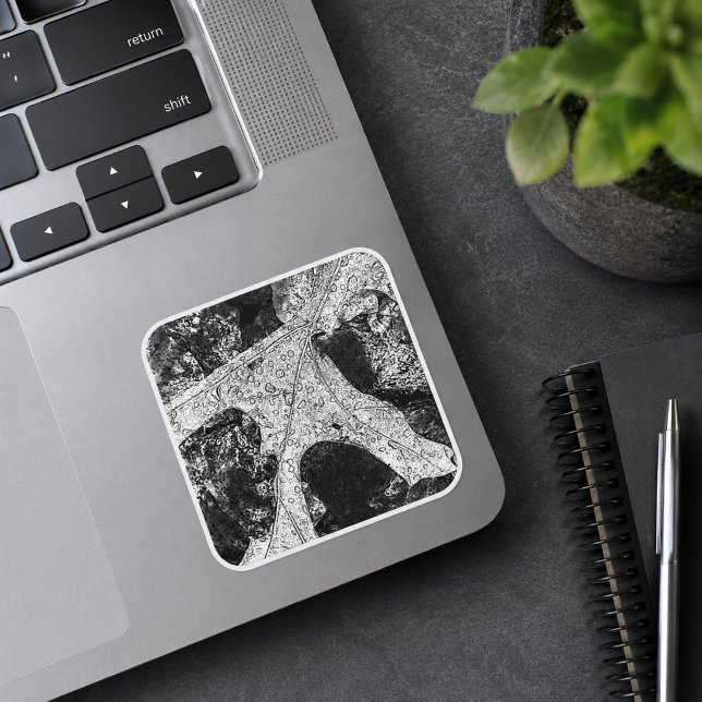 Leaf Sketch Drawing Square Sticker (Creator Uploaded)