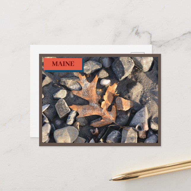 Leaf Stones Shells  Seapoint Beach Maine Nature  Postcard (Front/Back In Situ)