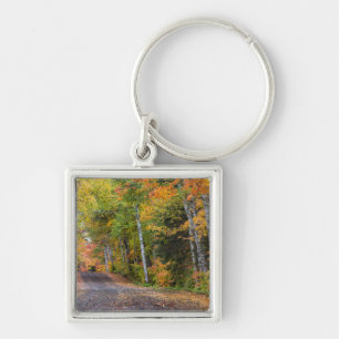 Leaf Strewn Gravel Road With Autumn Colour Keychain