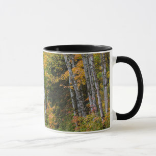 Leaf Strewn Gravel Road With Autumn Colour Mug