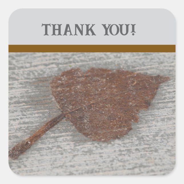 Leaf thank you square sticker (Front)