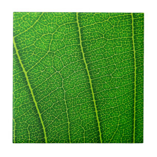 Leaf Tile