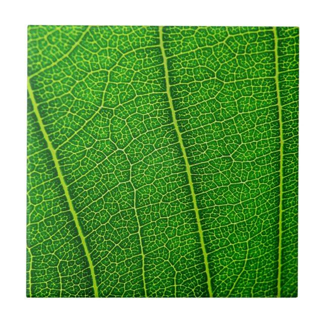 Leaf Tile (Front)