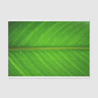 Leaf Tissue Paper