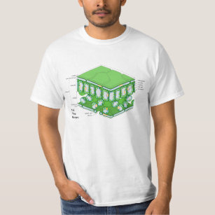Leaf Tissue Structure Diagram T-Shirt