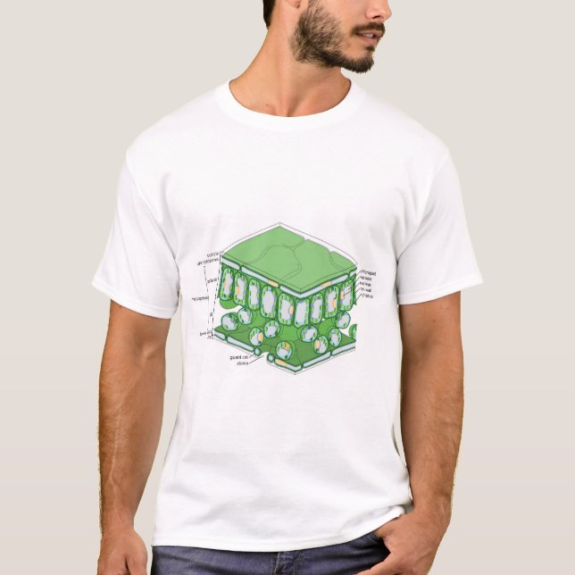 Leaf Tissue Structure Plant Cell Diagram Chart  T-Shirt (Front)