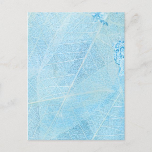 leaf tweezer color postcard (Front)