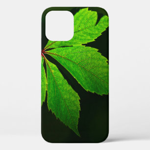 Leaf vein pattern texture plant iPhone 12 case