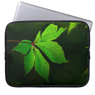 Leaf vein pattern texture plant laptop sleeve