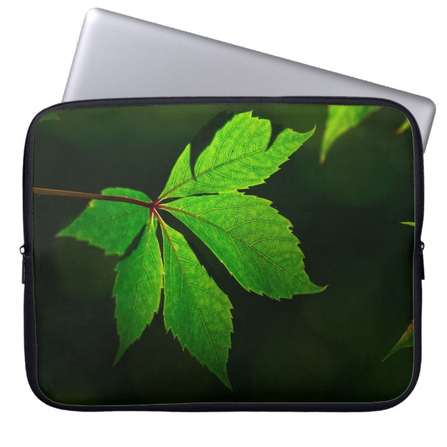 Leaf vein pattern texture plant laptop sleeve (Front)
