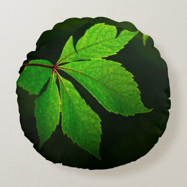 Leaf vein pattern texture plant round pillow (Front)
