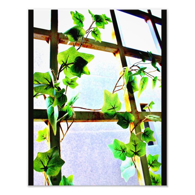 Leaf View Photo Print (Front)