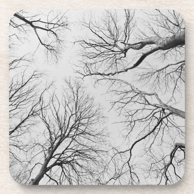Leafless Trees in Thiepval Wood Coaster (Front)