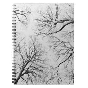 Leafless Trees in Thiepval Wood Notebook