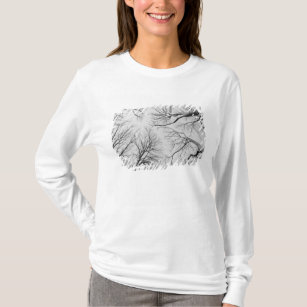 Leafless Trees in Thiepval Wood T-Shirt