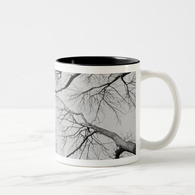 Leafless Trees in Thiepval Wood Two-Tone Coffee Mug (Right)