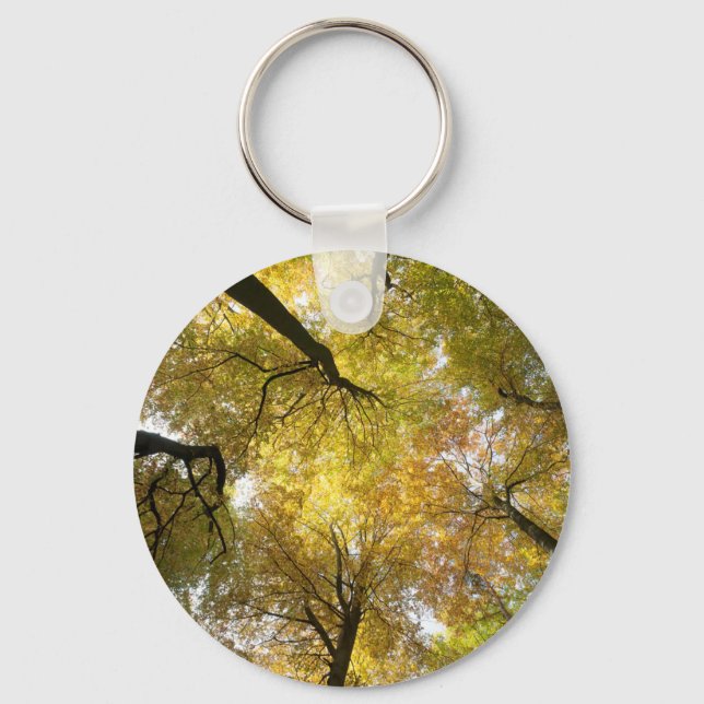 Leafy Canopy Keychain (Front)