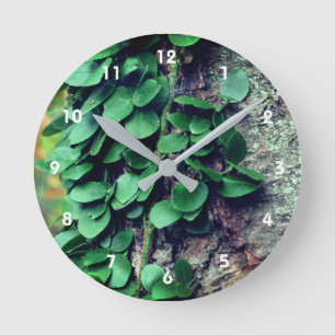 Leafy Green Vine Growing On Tree Trunk Round Clock