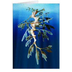 Leafy Sea Dragon Card