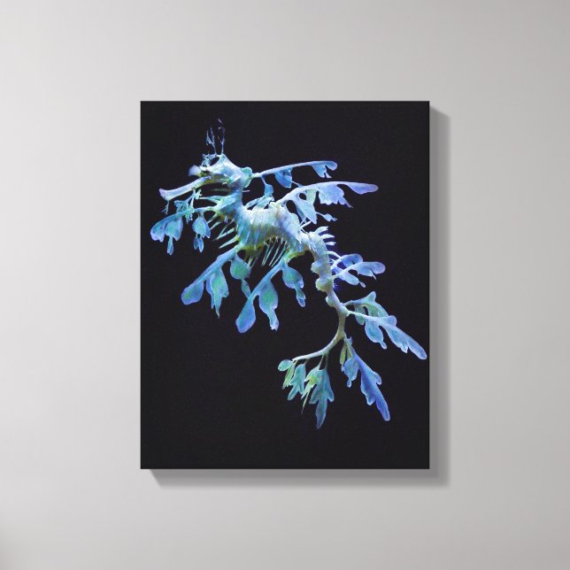 Leafy Sea Dragon Wrapped Canvas Print (Front)