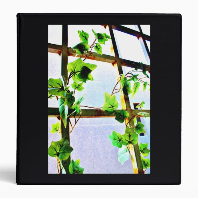 Leafy Window Binder (Front)