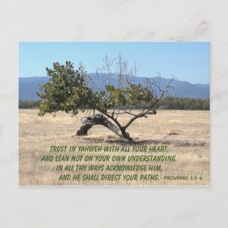 Lean Not on Your Own Understanding Postcard