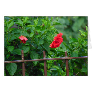 Leaning Garden Flower