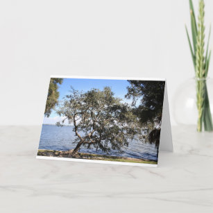 Leaning Tree Cards, Greeting Cards &amp; More | Zazzle CA