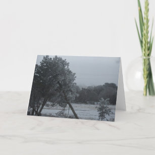 Leaning Tree Cards, Greeting Cards &amp; More | Zazzle CA