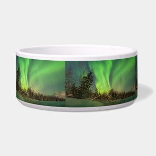 Leaning Spruce Aurora