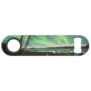 Leaning Tree Aurora Bar Key