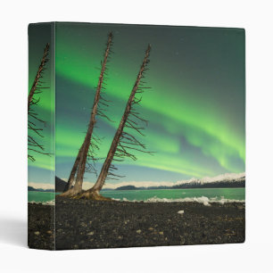 Leaning Tree Aurora Binder