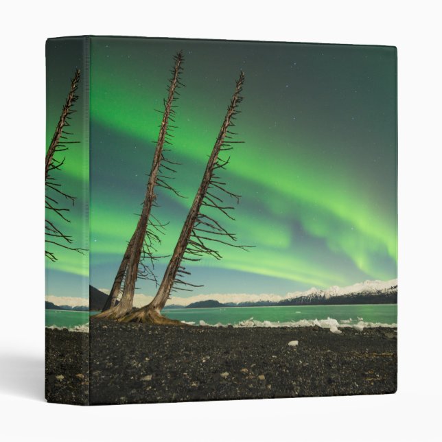 Leaning Tree Aurora Binder (Front/Spine)
