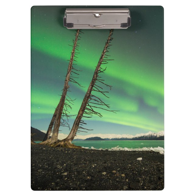 Leaning Tree Aurora Clipboard (Front)